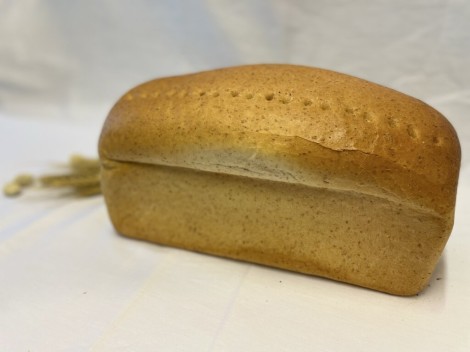 weite brood